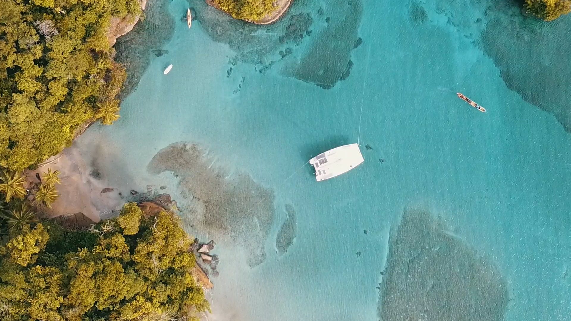 Aerial view of a catamaran anchored in a turquoise cove off a jungle-fringed island, Bocas del Toro